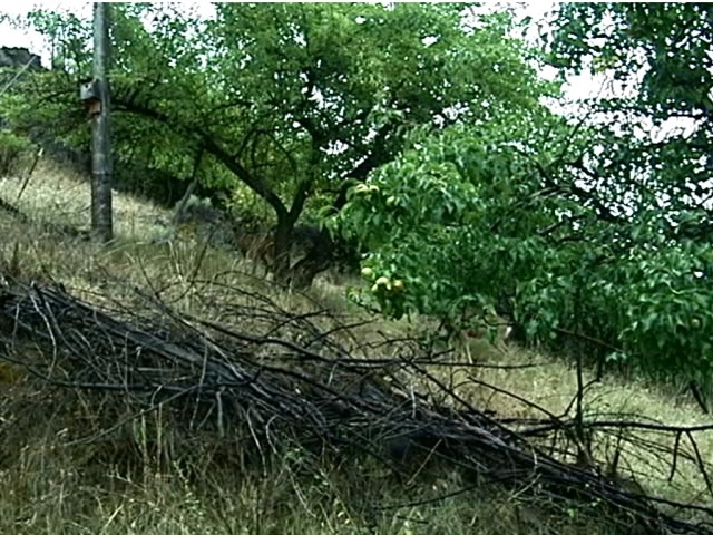 Joaquin Miller pics.225